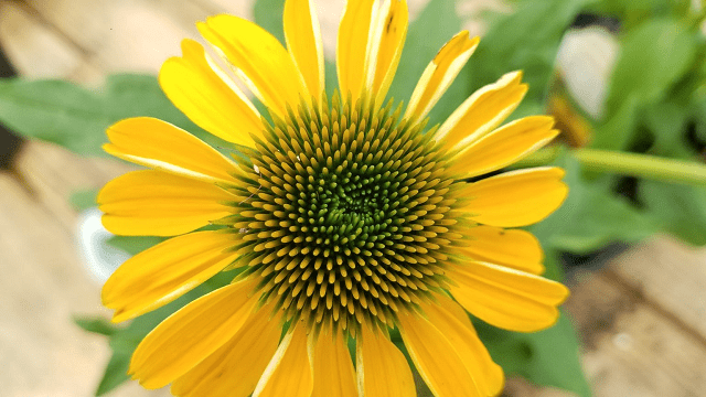 The Smart Hospital Tech Center